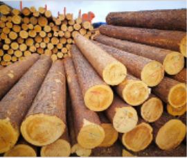 ����ľ�r���Ƕ���һ����?