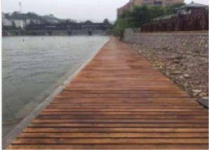 ����ľ�߂�ă��c����Щ