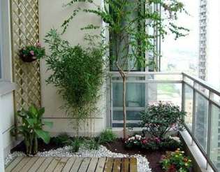 ����ľ���|���˜�Ҫ��ͼ��gҪ��