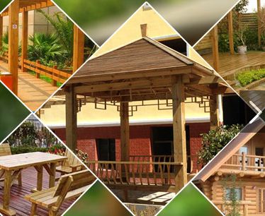 ����ľ�Ҿ�����ܳɞ�δ���lչ������