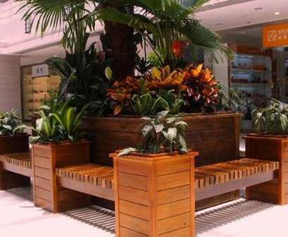 ����ľ��������Щ�Ը����c