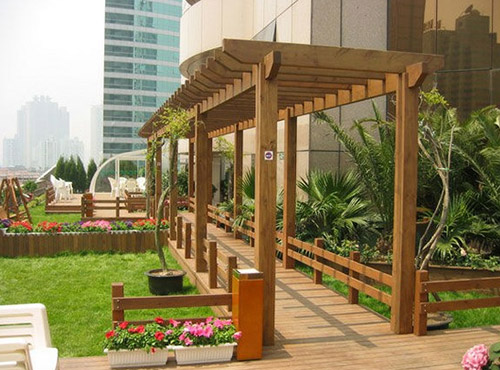 ����ľ���ȥ�S�o