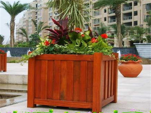 ����ľ���������Щ��(y��u)�c